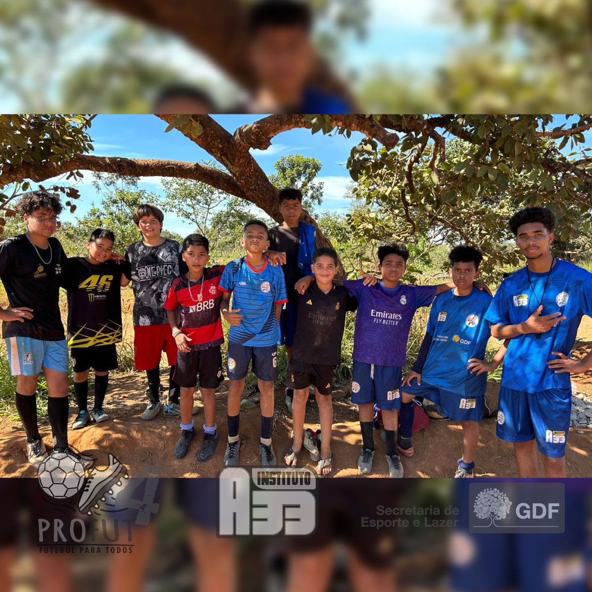 PROFUT 4
